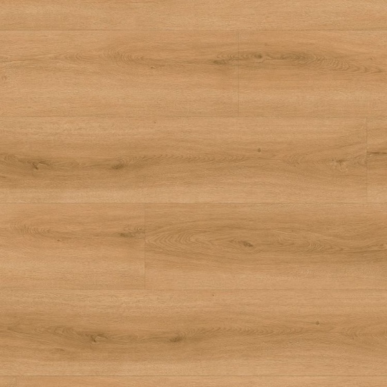 Anaturo Mio 55 Click+Cork - Eiche Tordera 2509CC | Kork-Klickvinyl