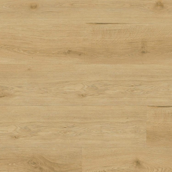 Anaturo Mio 55 Click+Cork - Eiche Waco 7702CC | Kork-Klickvinyl