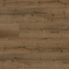 Anaturo Mio 55 Click+Cork - Eiche Phoenix 7898CC | Kork-Klickvinyl