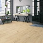 Tarkett iD Click Ultimate 55 Naturals - Brushed Elm Natural 260020043 | Rigid-Klickvinyl