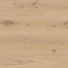 Tarkett iD Click Ultimate 55 Authentics - Delicate Oak Almond 260021011 | Rigid-Klickvinyl