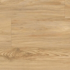 Tarkett iD Click Ultimate 70 Naturals - Brushed Elm Brown 260011042 | Rigid-Klickvinyl