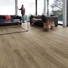 Gerflor Collection Evo - Royal 1229 | Klebe-Biovinyl