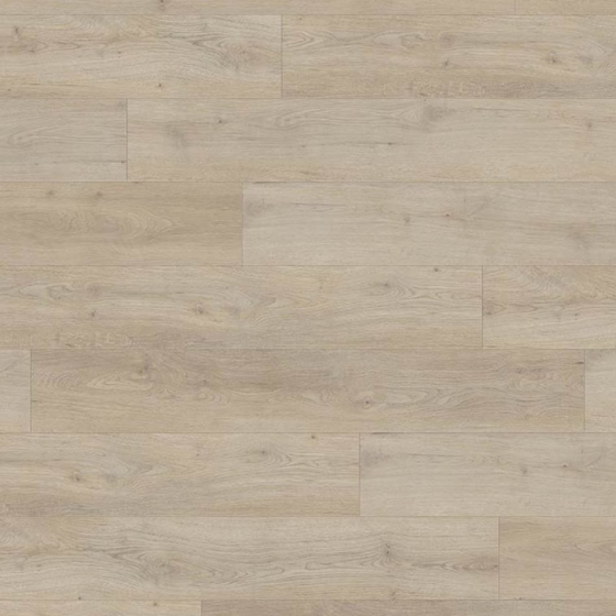 Gerflor Collection Evo - Bright 1230 | Klebe-Biovinyl