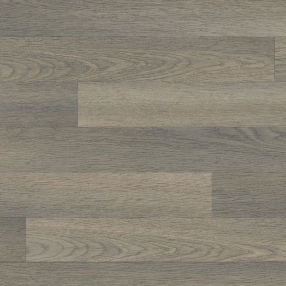 Tarkett Iconik 300 - Westwing Oak GREY 240023032 | Lieferform: Rolle | Breite: 2,00m
