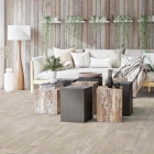 Tarkett Iconik 260 - Rustic Oak GREY 27125024 | Lieferform: Rolle | Breite: 2,00m