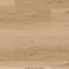 Joka Design 555 Wooden Styles - Oak Blond 5704 | Klebe-Vinylboden