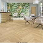 Joka Design 555 Wooden Styles - Oak Blond 6704 | Fischgrät-Optik | Klebe-Vinylboden