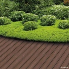 Skando Prime - WPC Massiv-Terrassendiele | Thermoeiche | 143 x 22 x 3600mm | gebürstet / strukturiert