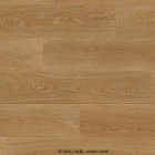 Joka Xplora Next 833 Finesse - Oak infinity gold 8655 | Klick-Naturdesignboden
