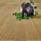 Joka Xplora Next 833 Finesse - Oak infinity gold 8655 | Klick-Naturdesignboden