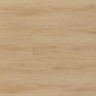 FoxFloors Skala 55 XL - Eiche Bodensee 6201 | Klebe-Vinylboden