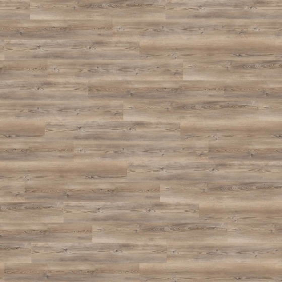 Wineo 400 Multi-Layer L - Coast Pine Taupe MLD284WL | Klick-Vinylboden