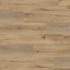 Wineo 400 Multi-Layer XL - Joy Oak Tender MLD126WXL | Klick-Vinylboden