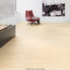 Joka Design 340 - Velvet Fir 2875 | Klebe-Vinylboden