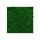 Skando Wall - Moos naturgrün | Echtmoos-Wandpaneel