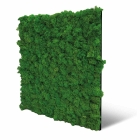 Skando Wall - Moos intensivgrün | Echtmoos-Wandpaneel