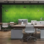 Skando Wall - Moos hellgrün | Echtmoos-Wandpaneel