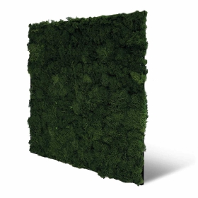 Skando Wall - Moos dunkelgrün | Echtmoos-Wandpaneel