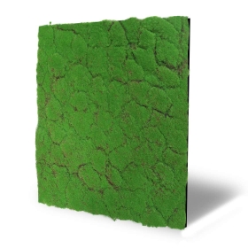 Skando Wall - Moos waldgrün | Designmoos-Wandpaneel