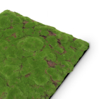 Skando Wall - Moos waldgrün rustikal | Designmoos-Wandpaneel