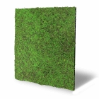 Skando Wall - Flora waldgrün | Natur-Wandpaneel