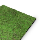 Skando Wall - Flora waldgrün | Natur-Wandpaneel