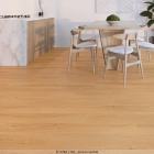 Joka Design 340 Click - Ambered Elegance 882 | SPC-Klickvinyl