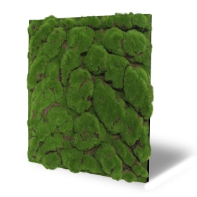 Skando Wall - Moos waldgrün urig |...