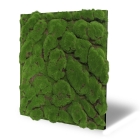 Skando Wall - Moos waldgrün urig | Designmoos-Wandpaneel