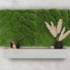 Skando Wall - Moos waldgrün urig | Designmoos-Wandpaneel