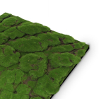 Skando Wall - Moos waldgrün urig | Designmoos-Wandpaneel