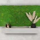 Skando Wall - Moos hellgrün | Designmoos-Wandpaneel