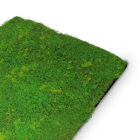 Skando Wall - Moos hellgrün | Designmoos-Wandpaneel