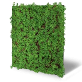 Skando Wall - Flora thujengrün | Natur-Wandpaneel