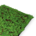 Skando Wall - Flora thujengrün | Natur-Wandpaneel