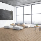 Tarkett Essence 30 - Primary Oak Light Grey 260055006 | Klebe-Vinylboden