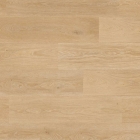 Tarkett Essence 55 - Tribe Oak Light Natural 260053007 | Klebe-Vinylboden