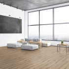 Tarkett Essence Rigid Click 55 - Primary Oak Light Grey 260030006 | Rigid-Klickvinyl