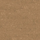 Wicanders Essence - Originals Shell 80002239 | Klick-Korkboden