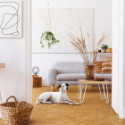 Wicanders Essence - Novel Edge Natural 80001300 | Klick-Korkboden