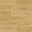 Quick-Step Alpha Bloom - Eiche gebürstet Honig AVMPU40318 | Rigid-Klickvinyl