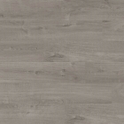 Quick-Step Alpha Bloom - Eiche Baumwolle gemütlich grau AVMPU40202 | Rigid-Klickvinyl