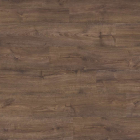 Quick-Step Alpha Bloom - Herbsteiche Schokolade AVMPU40199 | Rigid-Klickvinyl