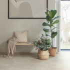 Quick-Step Alpha Illume - Beton Austernschale AVMTU40275 | Rigid-Klickvinyl