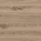 Tarkett - Sockelleiste Primary Oak Light Grey 26646020