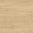 Quick-Step Hydroseal Capture - Eiche gebürstet natürlich SIG4763 | Klick-Naturdesignboden