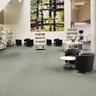 Designflooring Opus - Chalk Grey SP724 | Klebe-Vinylboden