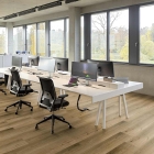 Project Floors - PW 1381/30 | Oak Selection 2.0 Wide | Klebe-Vinylboden