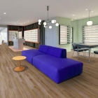 Project Floors - PW 3918/55 | Oak Selection 2.0 Wide | Klebe-Vinylboden